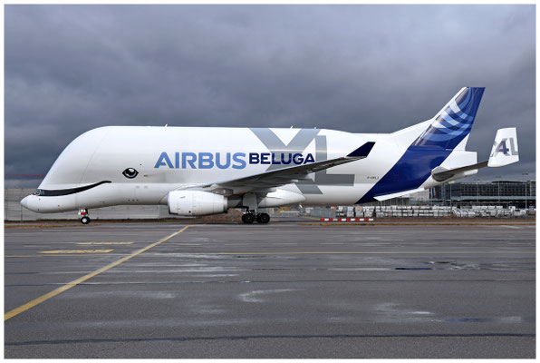 Airbus Transport International / Airbus A330-700 Beluga XL / F-GXLJ / 23.01.2025 / © Martin Hackl