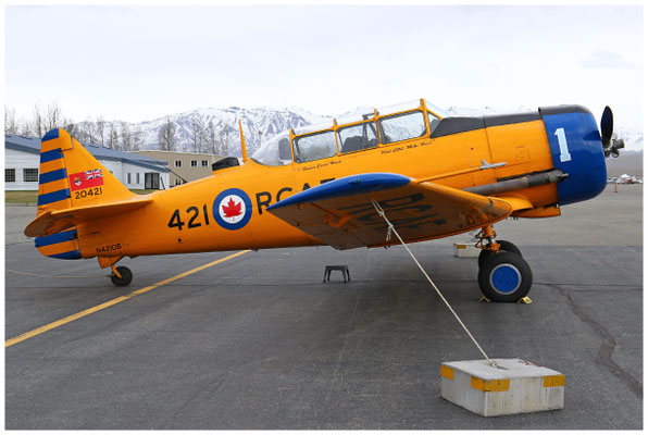 Commemorative Air Force / Canadian Car & Foundry Harvard Mk4 / N421QB / 04.05.2024 / © Martin Hackl