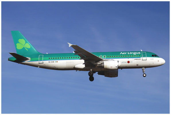 Aer Lingus / Airbus A320-200 / EI-CVD / 27.02.2010 / © Berni Müller 