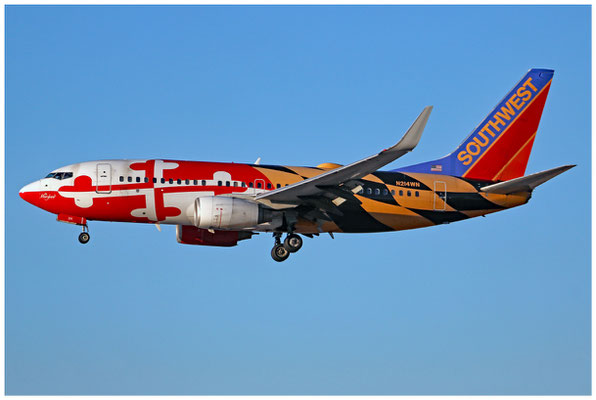 Southwest Airlines / Boeing 737-700 WL / N214WN / 03.11.2019 / © Martin Hackl