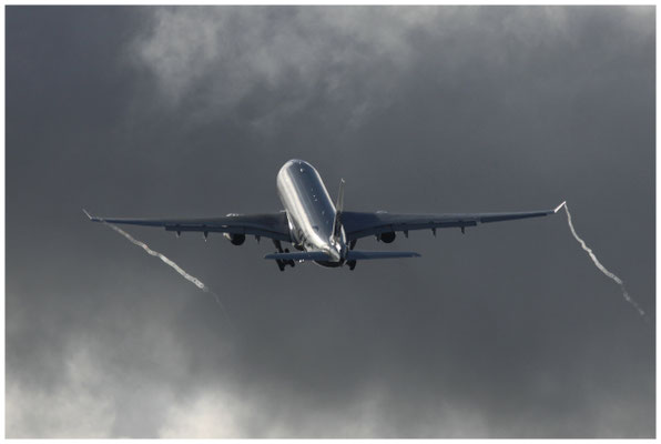Air Europa / Airbus A330-200 / EC-LNH / 21.08.2011 / © Berni Müller