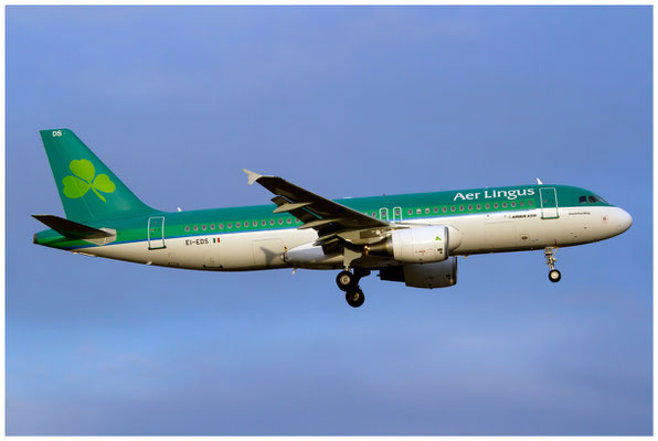 Aer Lingus / Airbus A320-200 / EI-EDS / 22.02.2014 / © Berni Müller