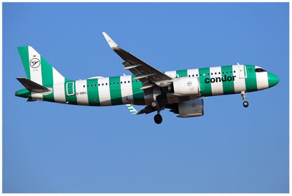 Condor / Airbus A320-200 Neo / D-ANCL / 04.03.2026 / © Martin Hackl