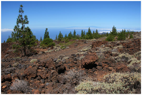 Teneriffa / Tenerife (Spanien / Spain) © Eva Maria & Berni Müller