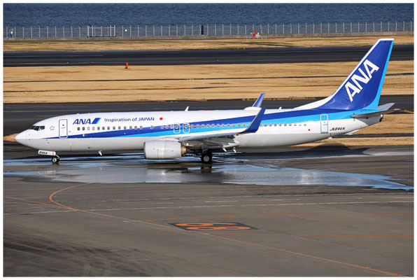 All Nippon Airways / Boeing 737-800 WL / JA84AN / 19.03.2025 / © Martin Hackl