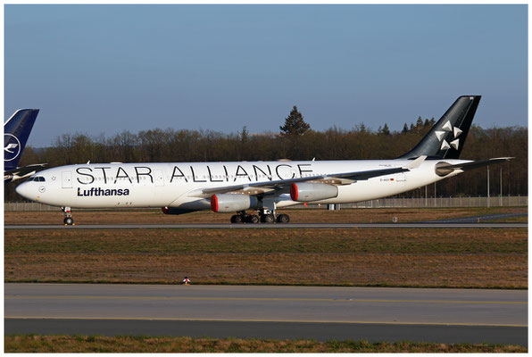 Lufthansa CityLine / Airbus A340-300 / D-AIGV / 10.04.2020 / © Martin Hackl