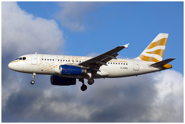 British Airways / Airbus A319-100 / G-EUPA / 25.11.2017 / © Berni Müller