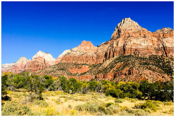 Zion National Park - Scienic Drive - © Martin Hackl