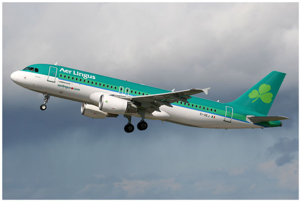 Aer Lingus / Airbus A320-200 / EI-DEJ / 07.05.2005 / © Martin Hackl