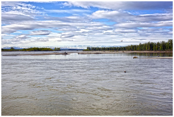 Sulsitna River (Alaska - USA) © Eva Maria & Berni Müller