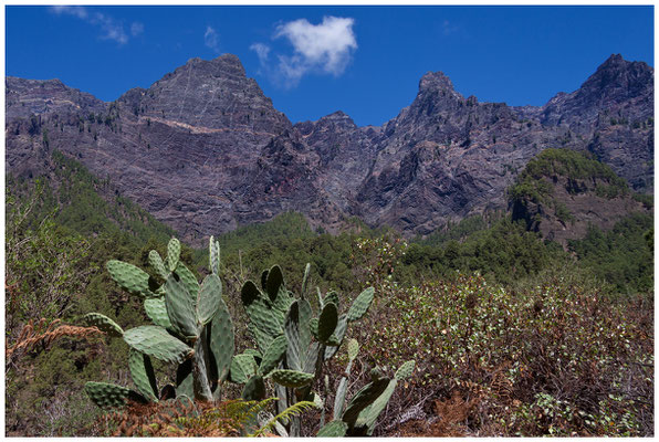 Caldera de Taburiente (La Palma - Spanien / Spain) © Eva Maria & Berni Müller