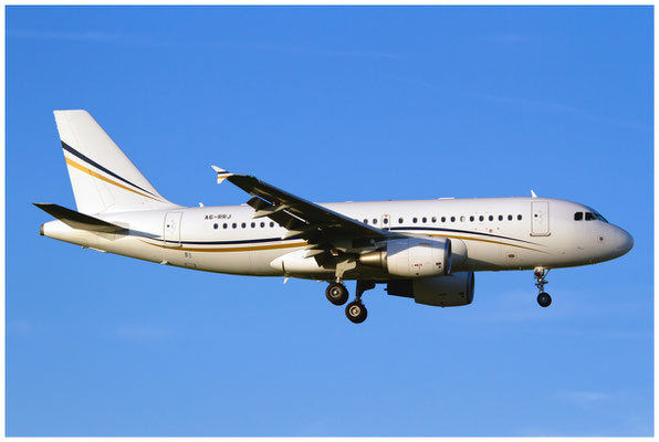 Rotana Jet Aviation / Airbus A319-100 / A6-RRJ / 03.07.2014 / © Berni Müller