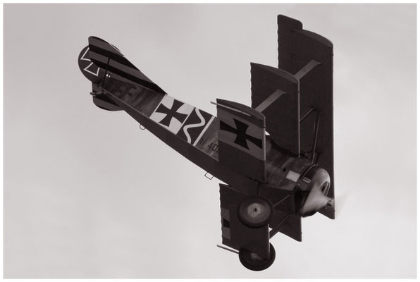 Private / Fokker Dr.1 / SE-XXZ / 27.06.2009 / © Berni Müller