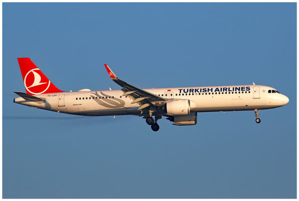 Turkish Airlines / Airbus A321-200 N / TC-LSV / 30.11.2020 / © Martin Hackl