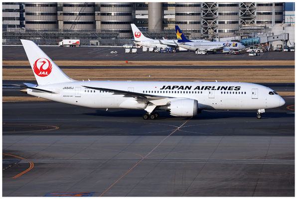 Japan Airlines / Boeing 787-8 / JA845J / 14.03.2025 / © Martin Hackl