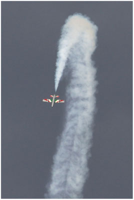 Frecce Tricolori / Aermacchi MB-339PAN / 01.07.2011 / © Berni Müller