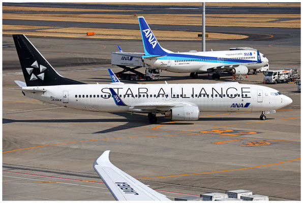 All Nippon Airways / Boeing 737-800 WL / JA51AN / 13.03.2025 / © Martin Hackl