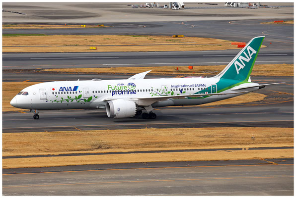 All Nippon Airways / Boeing 787-8 / JA874A / 15.03.2025 / © Martin Hackl