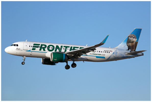 Frontier Airlines / Airbus A320-200 N / N336FR / 04.11.2019 / © Martin Hackl