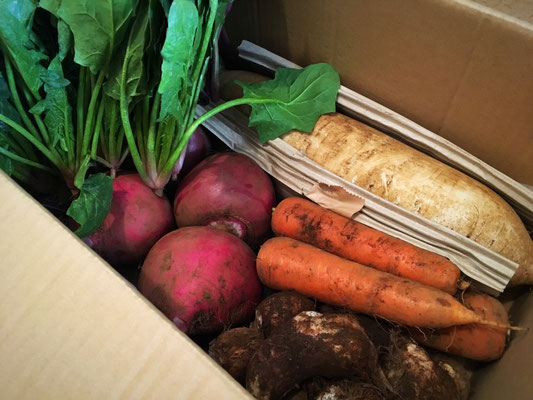 赤カブのピクルス 料理教室 薬膳 マクロビオティックなど ナチュラルキッチンラボ