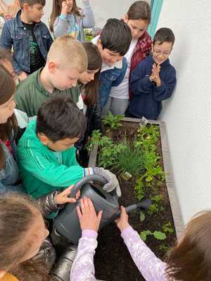 Die Kinder kümmern sich fleißig um die Pflanzen.