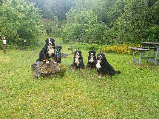 meine Truppe mit karl-Heinz