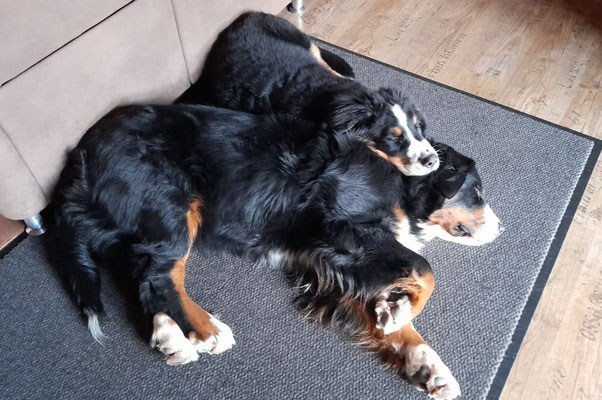 Lätty & Peggy