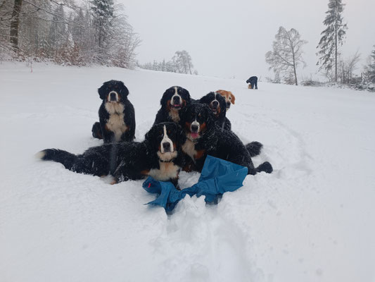 auf zum Rodeln :D Yuki und meine 4