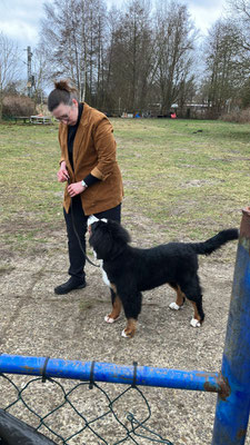 Ebbe