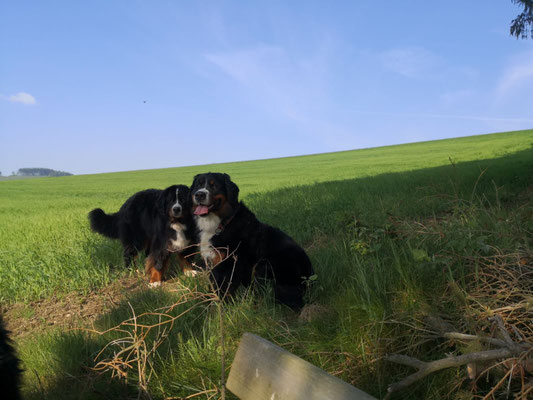 ein sonnentag