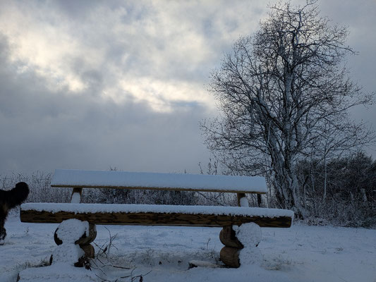 Winterwonderland