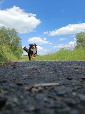 Gary Cooper - Bruno 8 Jahre
