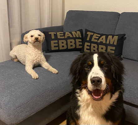 Ebbe