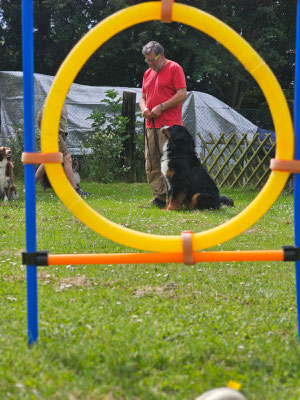 Nanook mit Herrchen - fleißig beim Hundesport