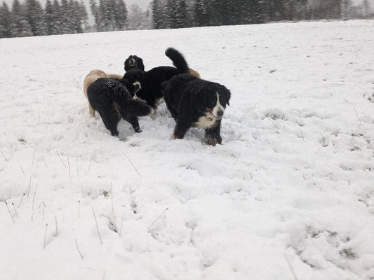Spaß im Schnee