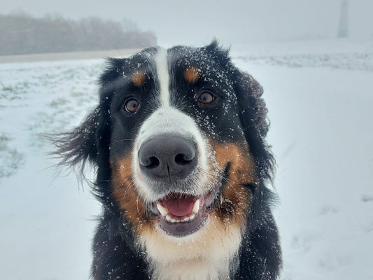 Lucie