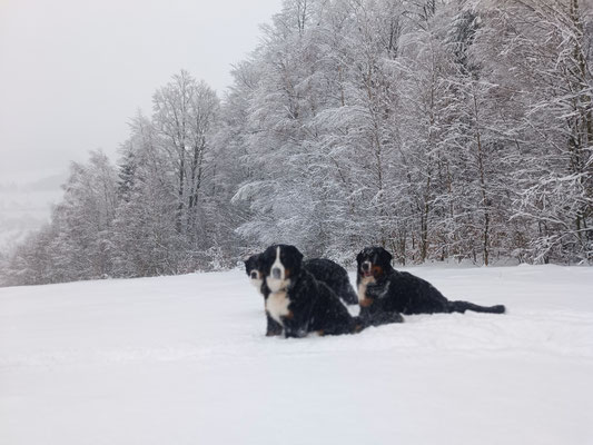 wir lieben Schnee
