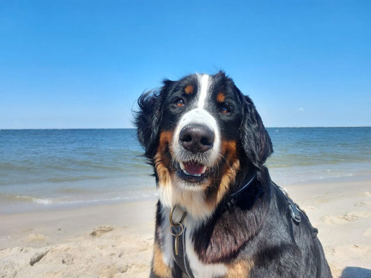 Lucie im Urlaub