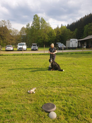 Wir üben auch mal ein Bisschen - Nova der Schleifenhund