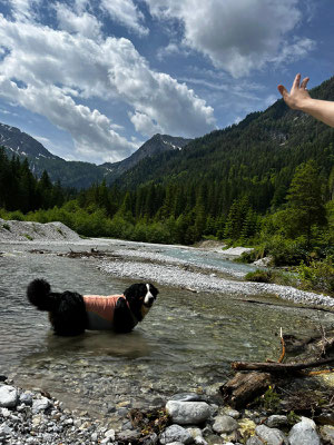 Susi im Urlaub
