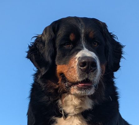 mein Mädchen