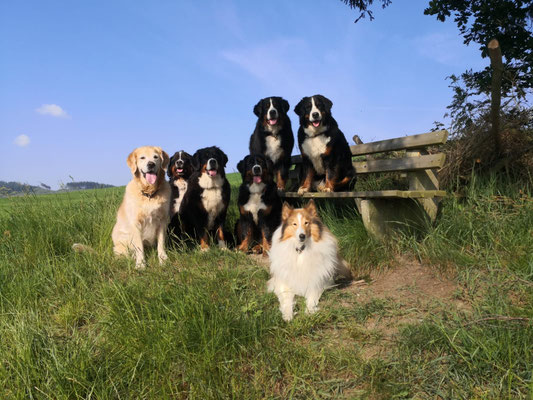 mit Freunden unterwegs