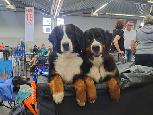Nova und MOmo in Dortmund