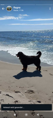 Odin