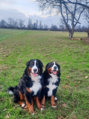 Nanook und Bolle