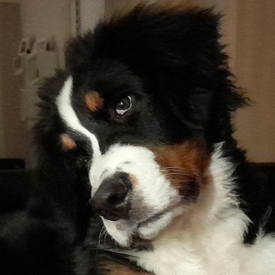 Peggy