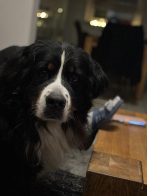 Kosmo