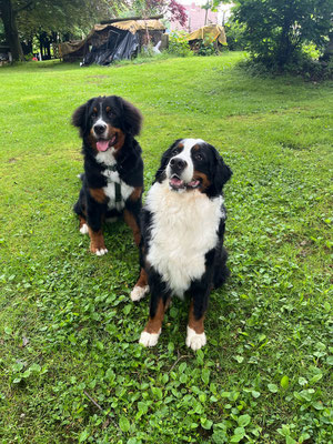 Tarlo und Joy