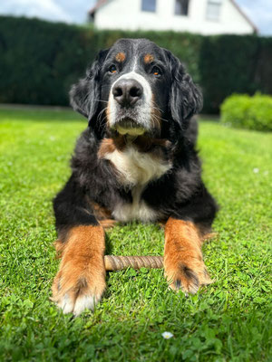 Hilde