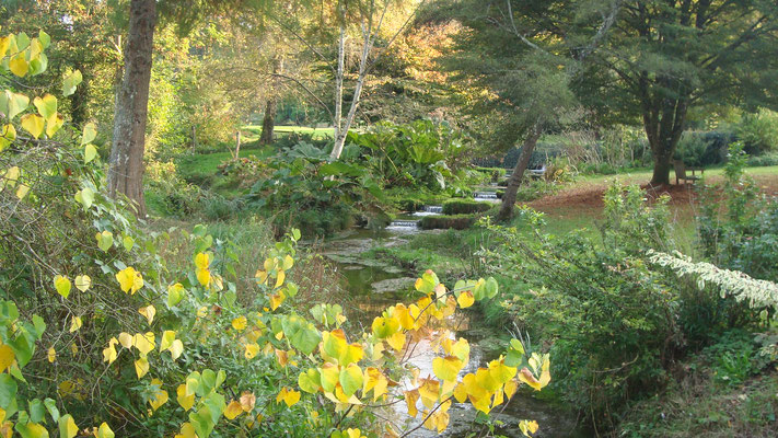 Jardins de Sasnières: les cascades